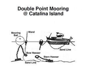 Double Point Moorning at Catalina Island- image